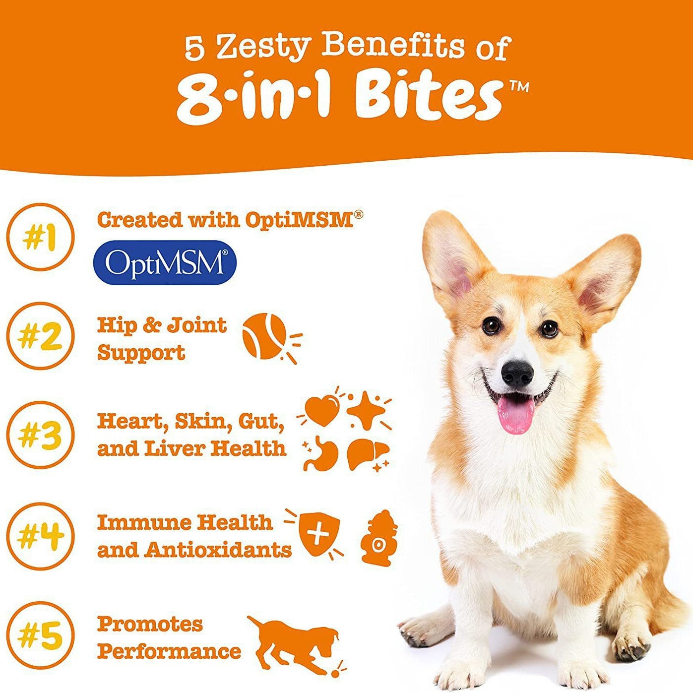 Dog vitamin granules